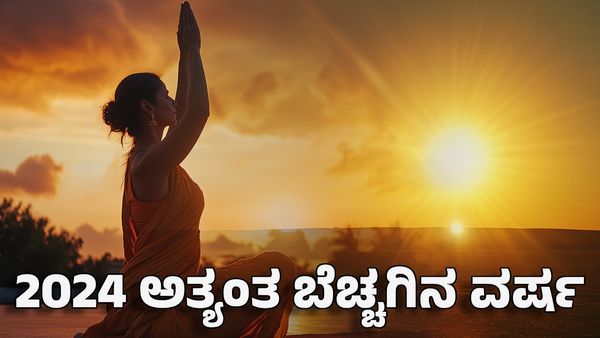 India Hottest Year: ಭಾರತದಲ್ಲಿ ಬಿಸಿಲ ಬಿಸಿಗೆ ದಾಖಲೆ ಬರೆದ 2024