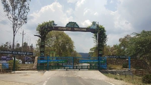 Bandipur Forest: ಬಂಡೀಪುರದಲ್ಲಿ ರಾತ್ರಿ ವಾಹನ ಸಂಚಾರ, ಸಚಿವರ ಸ್ಪಷ್ಟನೆ