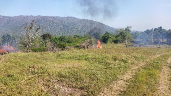 Bandipur Forest: ಬಂಡೀಪುರದಲ್ಲಿ ಕಾಡ್ಗಿಚ್ಚು ತಡೆಗೆ ಅರಣ್ಯ ಇಲಾಖೆ ಸಂಪೂರ್ಣ ಸನ್ನದ್ಧ!