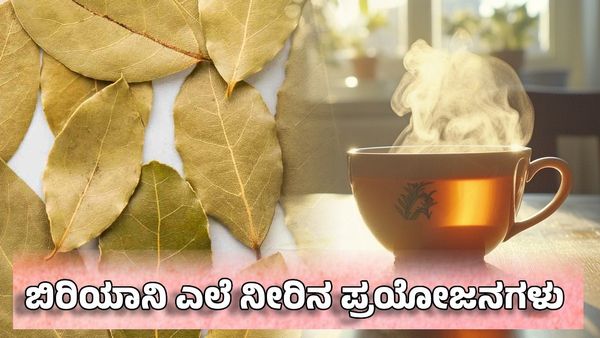 Biryani Leaf Benefits: ಈ ಎಲೆಯ ನೀರು ಕುದಿಸಿ ಕುಡಿದರೆ ತೂಕ ಇಳಿಕೆ ಸುಲಭ