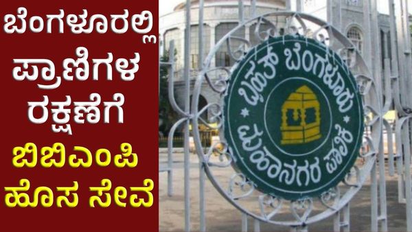 ಹಸುಗಳ ಕೆಚ್ಚಲು ಕೊಯ್ದ ಪ್ರಕರಣ: ಕೊನೆಗೂ ಅಲರ್ಟ್ ಆದ ಬಿಬಿಎಂಪಿ, ಹೊಸ ಸೇವೆ ಪರಿಚಯ