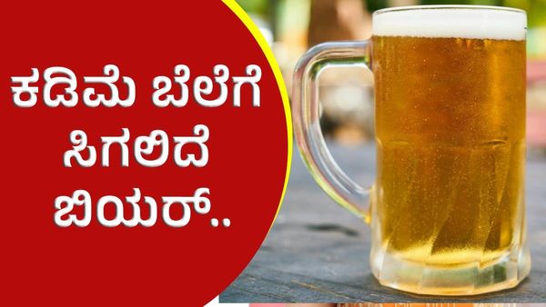 ಬೆಂಗಳೂರಿನ ಈ ಬಾರ್‌ನಲ್ಲಿ ಜನವರಿ ಪೂರ್ತಿ ಸಿಗಲಿದೆ ಕಡಿಮೆ ಬೆಲೆಗೆ ಬಿಯರ್‌!