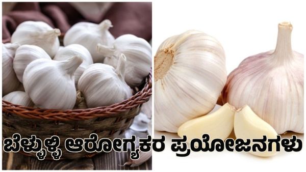 Garlic Benefits: ಬೆಳಗ್ಗೆ ಖಾಲಿ ಹೊಟ್ಟೆಯಲ್ಲಿ 1 ಎಸಳು ಬೆಳ್ಳುಳ್ಳಿ ತಿನ್ನಿ ದೇಹದಲ್ಲಾಗುತ್ತೆ ಅದ್ಭುತ ಬದಲಾವಣೆ