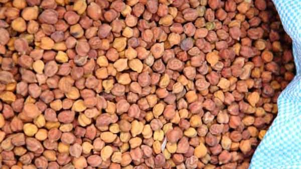 ಬೆಂಬಲ ಯೋಜನೆಯಡಿ ಕಡಲೆಕಾಳು ಖರೀದಿ, ರೈತರಿಗೆ ಮಾಹಿತಿ