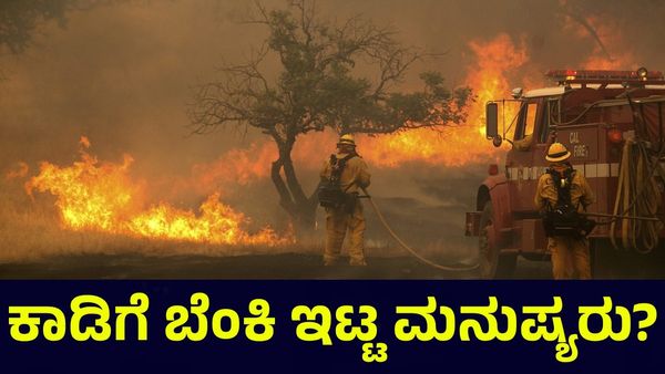California Wildfire: ಕಾಡಿಗೆ ಬೆಂಕಿ ಇಟ್ಟಿದ್ದು ಮನುಷ್ಯರು? ವೈರಲ್ ಆಗುತ್ತಿವೆ ವಿಡಿಯೋಗಳು!
