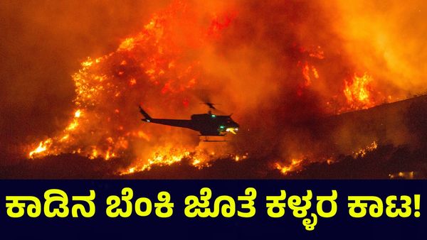 California Wildfire: ಬೆಂಕಿ ಬಿದ್ದ ಮನೆಗಳಿಗೆ ನುಗ್ಗುತ್ತಿರುವ ಕಳ್ಳರು, ಶುರುವಾಯ್ತು ಹೊಸ ತಲೆನೋವು!