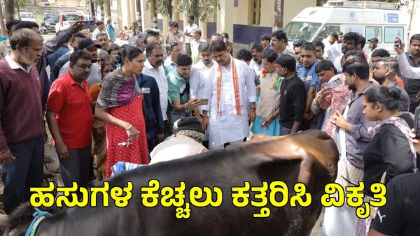 ಬೆಂಗಳೂರಲ್ಲಿ ಇದೆಂಥಾ ಹೀನ ಕೃತ್ಯ: ಹಸುಗಳ ಕೆಚ್ಚಲು ಕತ್ತರಿಸಿ ವಿಕೃತಿ: ಬಿಜೆಪಿ ಕರಾಳ ಸಂಕ್ರಾಂತಿ ಎಚ್ಚರಿಕೆ!