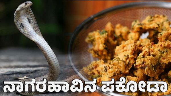 Cobra Pakoda: ಇಲ್ಲಿ ಸಿಗುತ್ತೆ ನಾಗರಹಾವಿನ ಪಕೋಡಾ: ರಕ್ತಕ್ಕೂ ಬೇಡಿಕೆ ಜಾಸ್ತಿ
