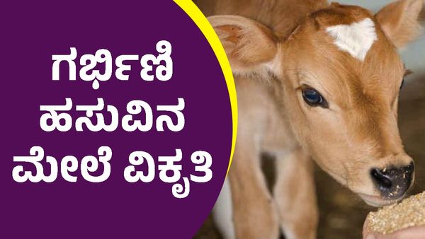 ಚಾಮರಾಜಪೇಟೆ ಬಳಿಕ ಮತ್ತೊಂದು ಕಡೆ ಹಸುವಿನ ಮೇಲೆ ಕ್ರೌರ್ಯ, ಎಲ್ಲಿ?