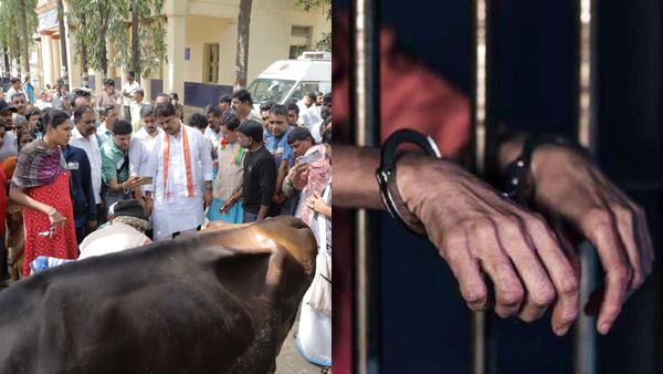 Cow Incident: ಹಸುಗಳ ಕೆಚ್ಚಲು ಕತ್ತರಿಸಿದ್ದ ಆರೋಪಿ ಬಂಧನ