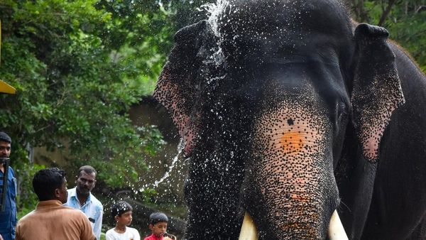 Elephant Arjuna: ಮೈಸೂರಿನಲ್ಲಿ ದಸರಾ ಆನೆ 'ಅರ್ಜುನ' ಸ್ಮಾರಕ, ವಿಶೇಷತೆಗಳು