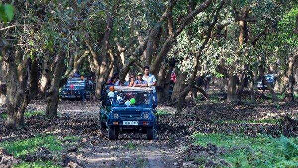ವೀರಪ್ಪನ್ ಅಡಗು ತಾಣವಾಗಿದ್ದ ಕಾಡಿನಲ್ಲಿ ಆರಂಭವಾಗಲಿದೆ ಸಫಾರಿ
