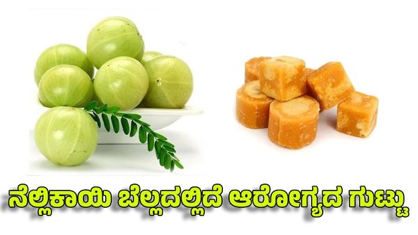 Amla Jaggery Benefits: ಪ್ರತಿದಿನ 1 ನೆಲ್ಲಿಕಾಯಿ ಜೊತೆಗೆ ಈ ಸಿಹಿ ತಿನ್ನುವುದರಲ್ಲಿದೆ ಆರೋಗ್ಯದ ಗುಟ್ಟು