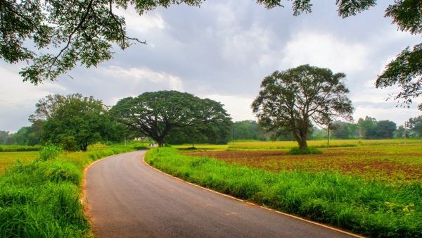 Hesaraghatta: ಭವಿಷ್ಯದ ಬೆಂಗಳೂರಿಗೆ ಹೆಸರಘಟ್ಟ ಪ್ರದೇಶ ಎಷ್ಟು ಮುಖ್ಯ?