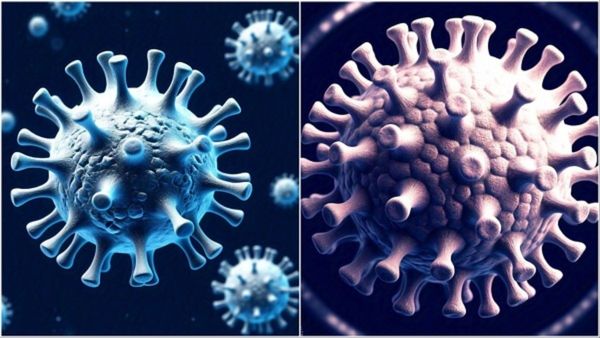 HMPV Virus: ಬೆಂಗಳೂರಿನ ಮಗುವಿನಲ್ಲಿ ಎಚ್​ಎಂಪಿವಿ ವೈರಸ್ ಪತ್ತೆ: HMPV ವೈರಸ್‌ಗೆ ಚಿಕಿತ್ಸೆ ಏನು?