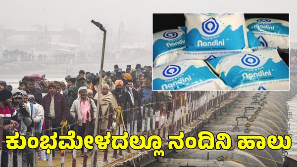 Maha Kumbh Mela: ಮಹಾ ಕುಂಭ ಮೇಳದಲ್ಲಿ ಒಂದು ಕೋಟಿ ಕಪ್ ಟೀ ಪೂರೈಕೆಗೆ ಕೈಜೋಡಿಸಿದ ಕೆಎಂಎಫ್‌