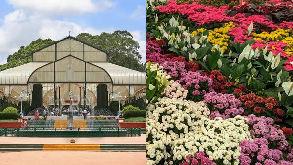 Lalbagh Flower Show: ಸಸ್ಯಕಾಶಿ ಲಾಲ್‌ಬಾಗ್‌ನಲ್ಲಿ ಈ ಬಾರಿಯ ಫ್ಲವರ್‌ ಶೋ ಸಂಪೂರ್ಣ ವಿವರ