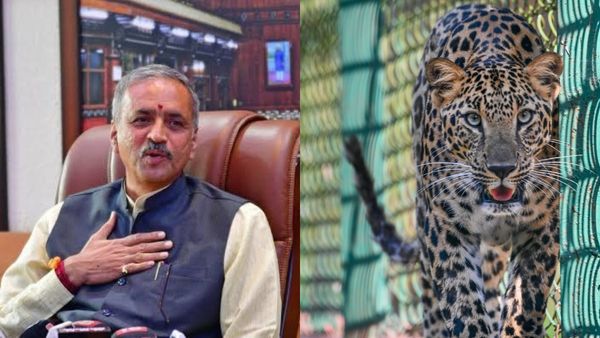 leopard: ಖ್ಯಾತ ರಾಜಕಾರಣಿ ಮನೆಯ ಬಳಿ ಚಿರತೆ ಪ್ರತ್ಯಕ್ಷ