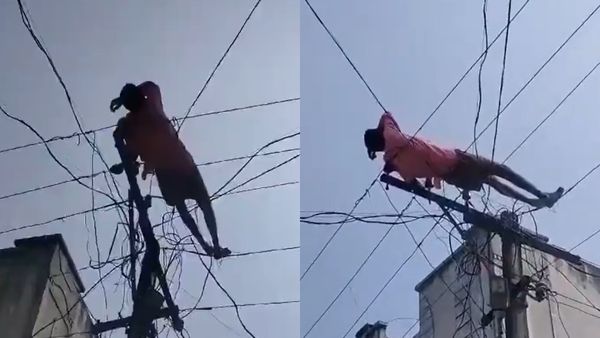 ವಿದ್ಯುತ್‌ ಕಂಬವೇರಿ ತಂತಿಗಳ ಮೇಲೆ ಹಾಯಾಗಿ ಮಲಗಿದ ಪವರ್‌ ಮ್ಯಾನ್‌, ಆಮೇಲೇನಾಯ್ತು?