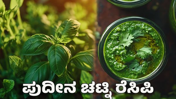  Mint Chutney Recipe: ದೋಸೆ ಇಡ್ಲಿಯ ರುಚಿ ಹೆಚ್ಚಿಸುವ ಪುದೀನ ಚಟ್ನಿ ರೆಸಿಪಿ 