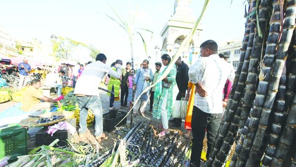 Makar Sankranti 2025: ಮೈಸೂರಿನಲ್ಲಿ ಸಂಕ್ರಾಂತಿಗೆ ಖರೀದಿ ಭರಾಟೆ : ಹೂ-ಹಣ್ಣು, ಎಳ್ಳಿನ ದರ ವಿವರ