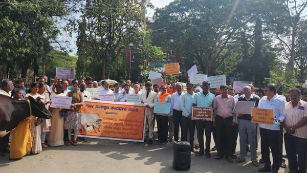 ಗೋವುಗಳ ಮೇಲೆ ದುಷ್ಕರ್ಮಿಗಳ ವಿಕೃತಿ: ಕಠಿಣ ಶಿಕ್ಷೆಗೆ ಒತ್ತಾಯಿಸಿ ತುಮಕೂರಿನಲ್ಲಿ ಪ್ರತಿಭಟನೆ