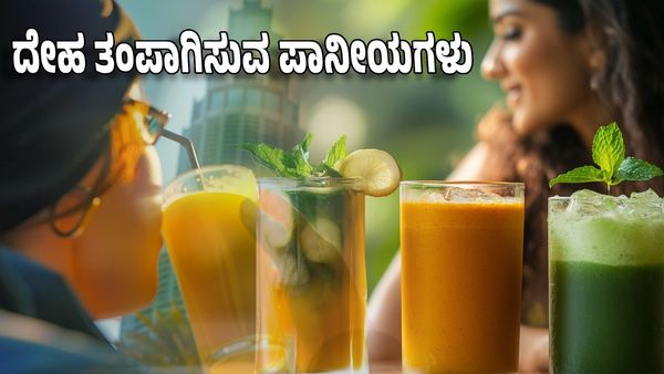 Summer Drinks Recipe: ಬೇಸಿಗೆಗೆ ದೇಹ ತಂಪಾಗಿಸುವ ಪಾನೀಯಗಳನ್ನು ಮನೆಯಲ್ಲೇ ತಯಾರಿಸಿ