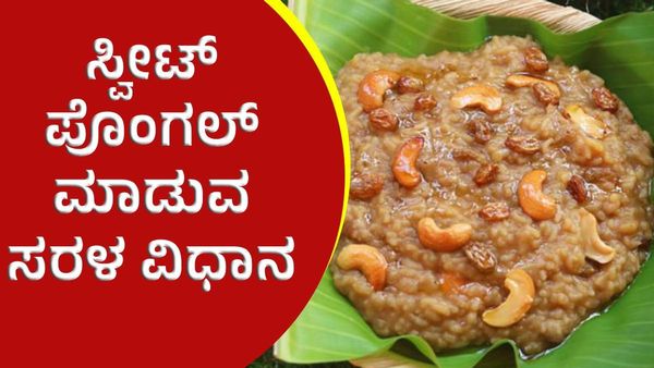 ಸಂಕ್ರಾಂತಿ ಸ್ಪೆಷಲ್‌ ಸ್ವೀಟ್ ಪೊಂಗಲ್‌ ಮಾಡುವ ಸರಳ ವಿಧಾನ ಇಲ್ಲಿದೆ