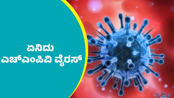 ಏನಿದು HMPV ವೈರಸ್?; ಹರಡಿಕೊಂಡಿದ್ದು ಯಾವಾಗ ಹಾಗೂ ತಜ್ಞರು ಹೇಳೋದೇನು?
