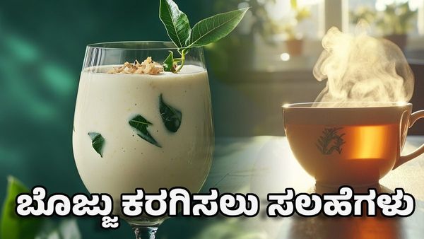 Weight Loss Drinks: ಶ್ರಮವಿಲ್ಲದೆ ಹೊಟ್ಟೆ ಬೊಜ್ಜು ಕರಗಬೇಕಾ? ಪ್ರತಿದಿನ ರಾತ್ರಿ ಇದನ್ನು ಕುಡಿಯಿರಿ