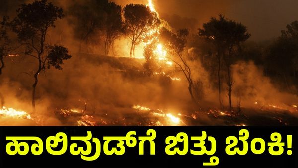 ಹಾಲಿವುಡ್ ಅಂಗಳಕ್ಕೆ ಬೆಂಕಿ, ಸುದ್ದಿ ಕೇಳಿ ವಿಲವಿಲ ಒದ್ದಾಡಿದ ಅಭಿಮಾನಿಗಳು... Hollywood Hills