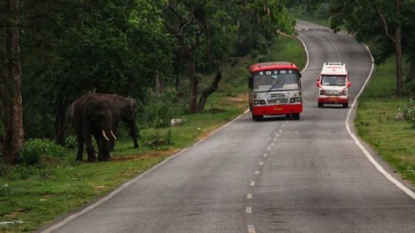 ವಾಹನ ಸವಾರರ ಉಸಿರುಗಟ್ಟಿಸುವ ವಿರಾಜಪೇಟೆ-ಮೈಸೂರು ಹೆದ್ದಾರಿ: ಯಾಕೆ ಗೊತ್ತಾ?