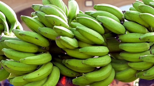Banana Palya: ಸುಲಭವಾಗಿ ಥಟ್ ಅಂತ ಮಾಡಿ ಬಾಳೆಕಾಯಿ ಪಲ್ಯ
