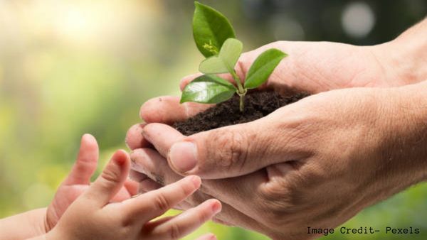 ಬಣ್ಣ ರೂಪವನ್ನು ಮೀರಿದ ‘ನಿತ್ಯ ಸುಂದರಿ’ ಯಾರು ಗೊತ್ತಾ?