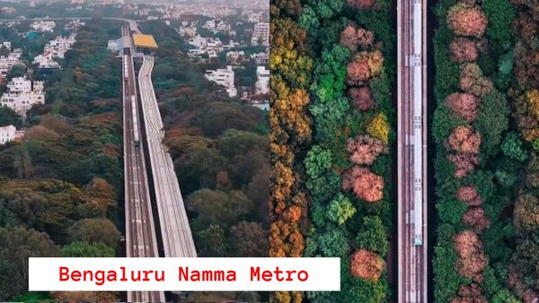 Namma Metro: ಬೆಂಗಳೂರು ಹಸಿರು ಹೊದಿಕೆ ಹೆಚ್ಚಿಸಲು ಮಹತ್ವದ ಹೆಜ್ಜೆ ಇಟ್ಟ BMRCL