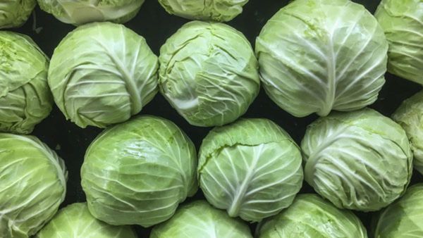 ಈರುಳ್ಳಿ ಬೇಡವೇ ಬೇಡ ಮನೆಯಲ್ಲೇ ಮಾಡಿ ಎಲೆಕೋಸಿನ ಪಕೋಡ