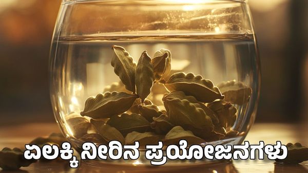 Cardamom Water Benefits: ಖಾಲಿ ಹೊಟ್ಟೆಯಲ್ಲಿ ಏಲಕ್ಕಿ ನೀರು ಕುಡಿದರೆ ಆಗುವ ಪ್ರಯೋಜನಗಳು