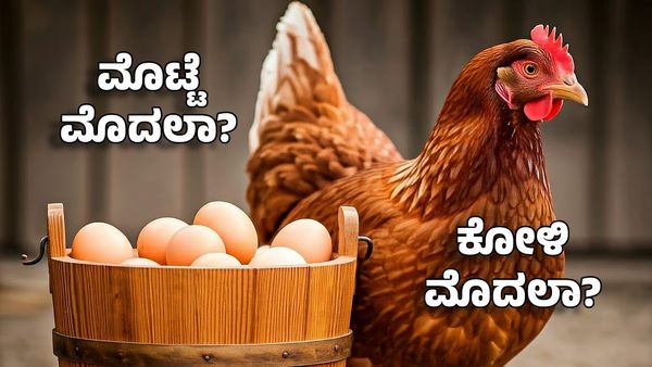 ಕೋಳಿ ಮೊದಲಾ? ಮೊಟ್ಟೆ ಮೊದಲಾ? ಕೊನೆಗೂ ಸಿಕ್ಕೆಬಿಡ್ತು ಉತ್ತರ