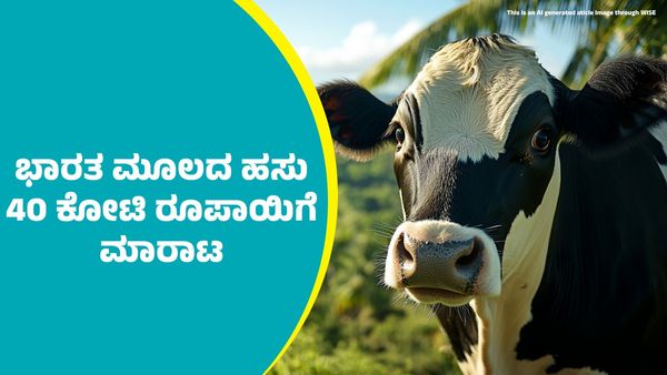 ಬ್ರೆಜಿಲ್‌ನಲ್ಲಿ ₹40,00,00,000ಗೆ ಮಾರಾಟವಾದ ಭಾರತ ಮೂಲದ ಹಸು: ವಿಶೇಷತೆಗಳೇನು ತಿಳಿಯಿರಿ