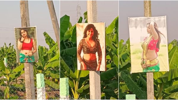 ಮೈಸೂರಿನ ಈ ರೈತನ ಜಮೀನು ಕಾಯೋದೇ ಆ್ಯಂಕರ್‌ ಅನುಶ್ರೀ ಮತ್ತು ತಂಡ