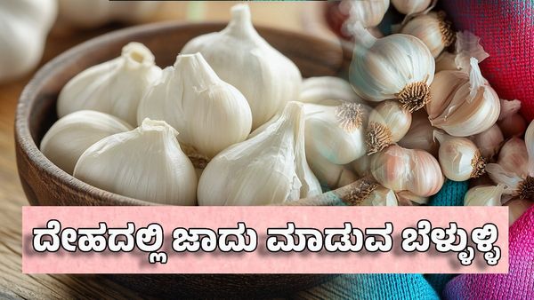Garlic Benefits: ದೇಹದಲ್ಲಿ ಜಾದು ಮಾಡುವ ಬೆಳ್ಳುಳ್ಳಿ