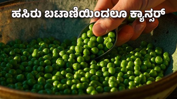 ಹಸಿರು ಬಟಾಣಿಯಿಂದಲೂ ಕ್ಯಾನ್ಸರ್: ಆರೋಗ್ಯ ಇಲಾಖೆಯಿಂದ ಎಚ್ಚರಿಕೆ!