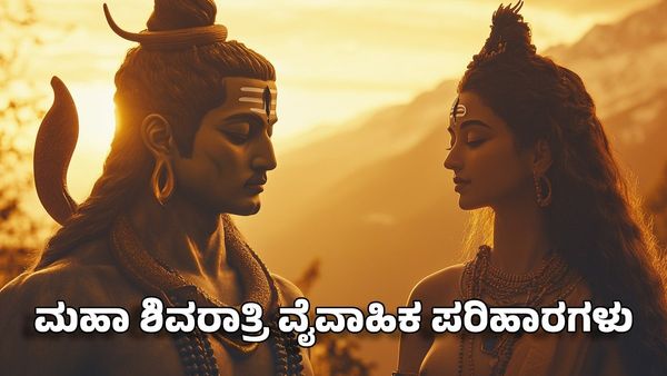 Maha Shivratri 2025: ದಾಂಪತ್ಯ ಜೀವನದಲ್ಲಿನ ಸಮಸ್ಯೆಗಳ ನಿವಾರಣೆಗೆ ಮಹಾಶಿವರಾತ್ರಿಯಂದು ಹೀಗೆ ಮಾಡಿ