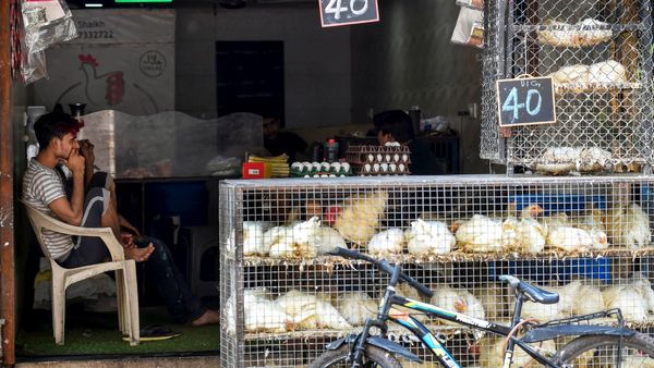 ನಾನ್‌ವೆಜ್‌ ಮಂದಿಗೆ ಶಾಕ್‌: ನಾಳೆ ಬೆಂಗಳೂರಿನಲ್ಲಿ ಮಟನ್‌, ಚಿಕನ್‌ ಸಿಗಲ್ಲ