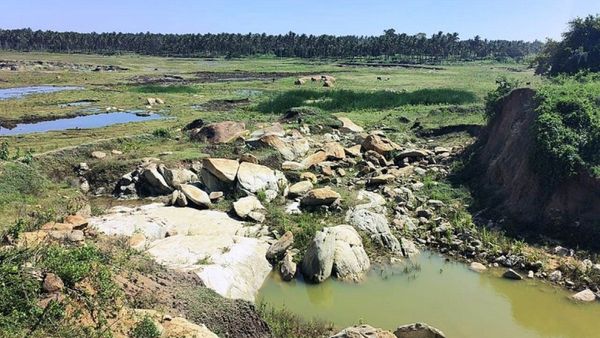 ಕೆರೆಗಳ ಸಂರಕ್ಷಣೆಯತ್ತ ದಿಟ್ಟಹೆಜ್ಜೆಯಿಟ್ಟ ಮಂಡ್ಯ ಜಿಲ್ಲಾಡಳಿತ: ಏನದು?