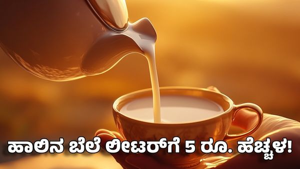 ಮೆಟ್ರೋ ಪ್ರಯಾಣದ ದರ ಬಳಿಕ ಕರ್ನಾಟಕದಲ್ಲಿ ಹಾಲಿನ ಬೆಲೆಯಲ್ಲಿ ಭಾರೀ ಏರಿಕೆ