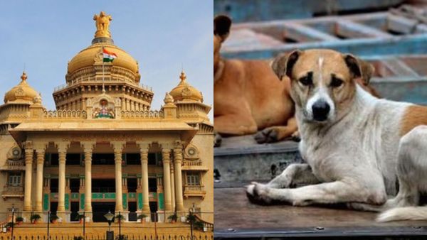 ವಿಧಾನಸೌಧದಲ್ಲಿ ನಮಗಿಂತ ನಾಯಿಗೆ ಪವರ್ ಜಾಸ್ತಿ ಎಂದ ಸ್ಪೀಕರ್‌