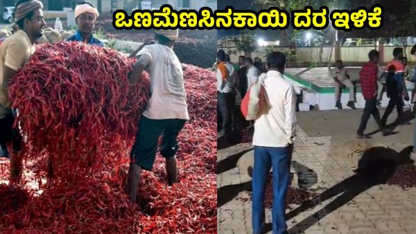 Chilli Price: ಇಷ್ಟು ಕಡಿಮೆ ಬೆಲೆಗೆ ಒಣ ಮೆಣಸಿನಕಾಯಿ ಮಾರಲ್ಲ, ಬೆಂಕಿ ಹಚ್ಚುತ್ತೇವೆ: ರೈತರು