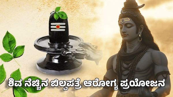 Maha Shivratri 2025: ಶಿವ ನೆಚ್ಚಿನ ಬಿಲ್ವಪತ್ರೆ ಆರೋಗ್ಯ ಪ್ರಯೋಜನಗಳು
