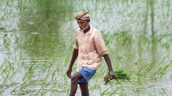 Budget 2025: ಕೇಂದ್ರ ಬಜೆಟ್, ಯುವಕರನ್ನು ಕೃಷಿಯತ್ತ ಸೆಳೆಯಲು ಹೊಸ ಯೋಜನೆ